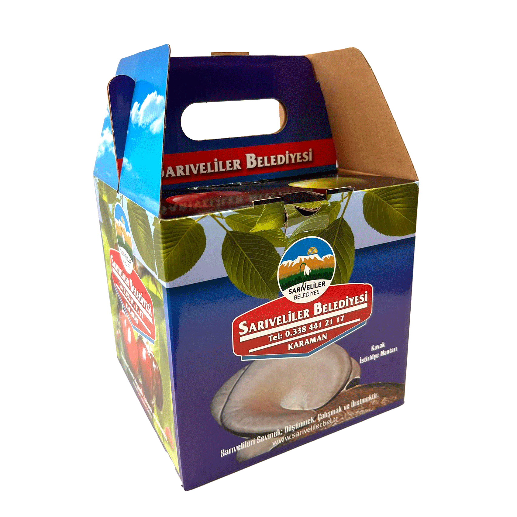 İpek Ofset Ambalaj Ofet Baskılı Sıvama Kutu